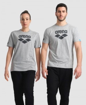 Arena Logo Cotton T-shirt Miesten Shortsit Harmaat | 32084CBJD