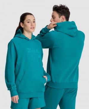 Arena Logo Hooded Sweatshirt Naisten Neulepuserot Monivärinen | 64587TYBX