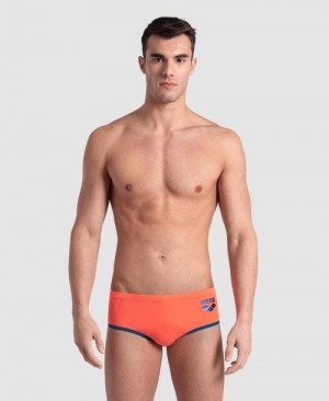 Arena One Big Logo Brief Miesten Alushousut Monivärinen | 95108VJWR