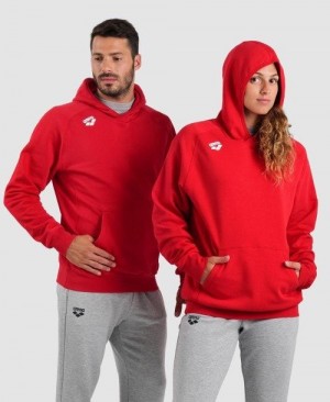 Arena Team Hooded Sweatshirt Panel Naisten Neulepuserot Punainen | 25134SWBY