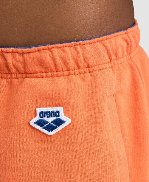 Arena Icons Short Naisten Shortsit Monivärinen | 45237GATI