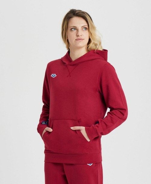 Arena Icons Solid Hooded Sweatshirt Naisten Neulepuserot Viininpunainen Sininen | 34185RUQT