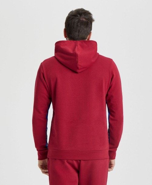 Arena Icons Solid Hooded Sweatshirt Naisten Neulepuserot Viininpunainen Sininen | 34185RUQT