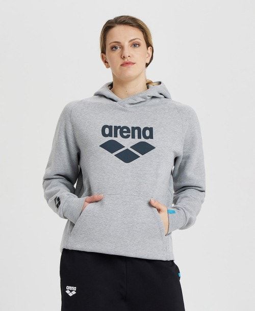 Arena Logo Hooded Sweatshirt Miesten Neulepuserot Monivärinen | 78543DMOJ