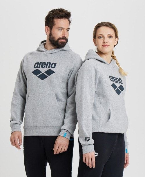 Arena Logo Hooded Sweatshirt Miesten Neulepuserot Monivärinen | 78543DMOJ