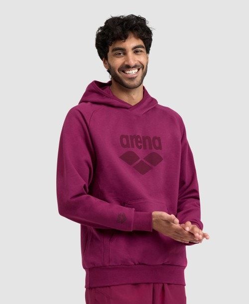 Arena Logo Hooded Sweatshirt Naisten Neulepuserot Monivärinen | 91046AFKO