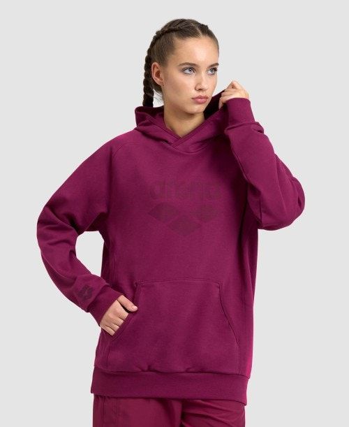 Arena Logo Hooded Sweatshirt Naisten Neulepuserot Monivärinen | 91046AFKO