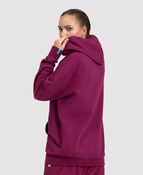 Arena Logo Hooded Sweatshirt Naisten Neulepuserot Monivärinen | 91046AFKO