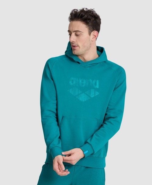 Arena Logo Hooded Sweatshirt Naisten Neulepuserot Monivärinen | 64587TYBX