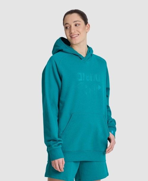 Arena Logo Hooded Sweatshirt Naisten Neulepuserot Monivärinen | 64587TYBX