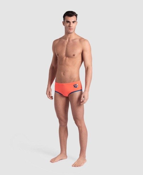 Arena One Big Logo Brief Miesten Alushousut Monivärinen | 95108VJWR