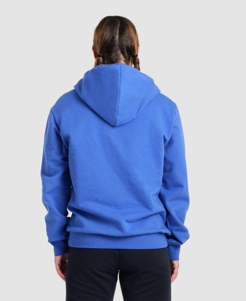 Arena Team Hooded Jacket Panel Miesten Takit Kuninkaallinen Sininen | 62590YHXU