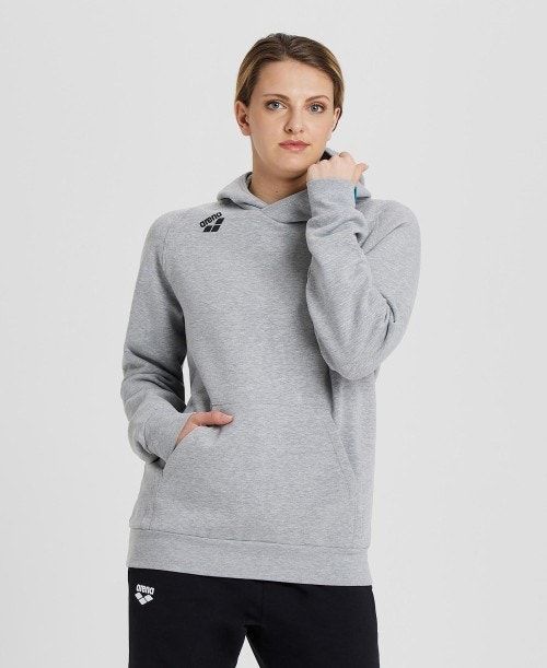 Arena Team Hooded Sweatshirt Panel Naisten Neulepuserot Harmaat | 30659TPWU