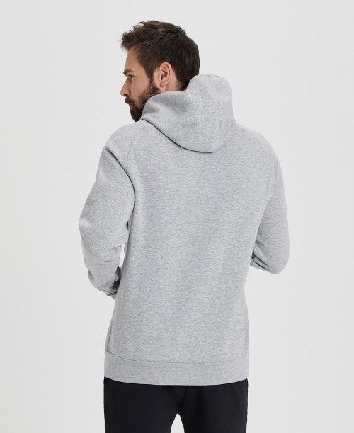 Arena Team Hooded Sweatshirt Panel Naisten Neulepuserot Harmaat | 30659TPWU