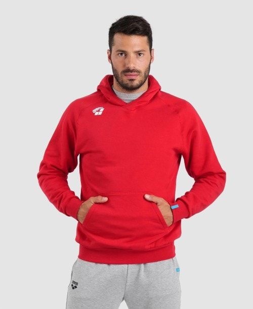 Arena Team Hooded Sweatshirt Panel Naisten Neulepuserot Punainen | 25134SWBY