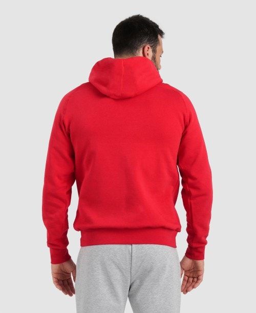 Arena Team Hooded Sweatshirt Panel Naisten Neulepuserot Punainen | 25134SWBY