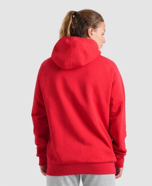 Arena Team Hooded Sweatshirt Panel Naisten Neulepuserot Punainen | 25134SWBY