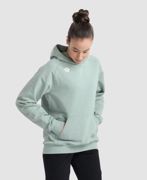 Arena Team Hooded Sweatshirt Panel Naisten Neulepuserot Monivärinen | 24367ENBY