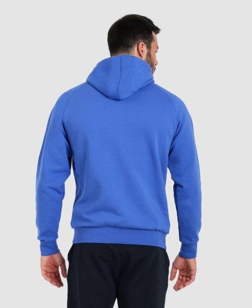 Arena Team Hooded Sweatshirt Panel Naisten Neulepuserot Kuninkaallinen Sininen | 73659XOLR