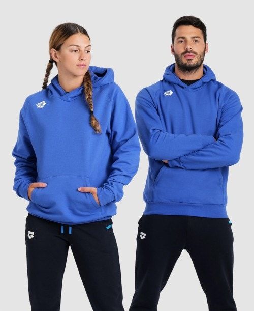 Arena Team Hooded Sweatshirt Panel Naisten Neulepuserot Kuninkaallinen Sininen | 73659XOLR